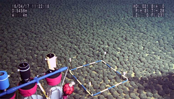 南鳥島沖のマンガンノジュールの密集域の画像（2016年8月26日リリース）国立研究開発法人海洋研究開発機構